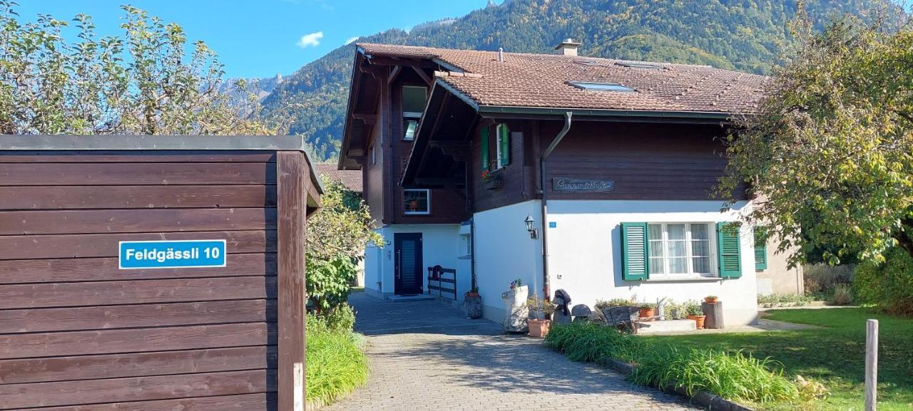 Chalet Sunnmaetteli Wilderswil Buitenkant foto